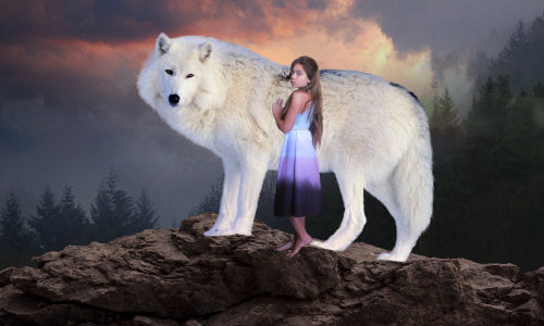 Девочка и волк. Дорисовываем